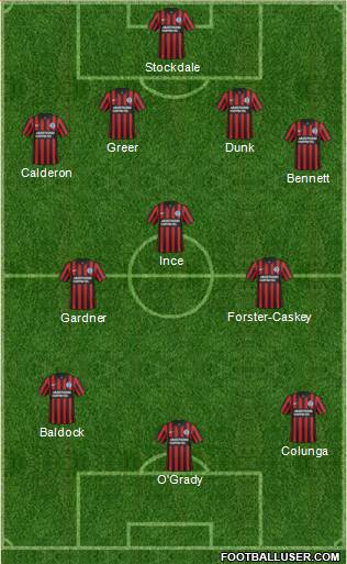 Brighton and Hove Albion Formation 2014