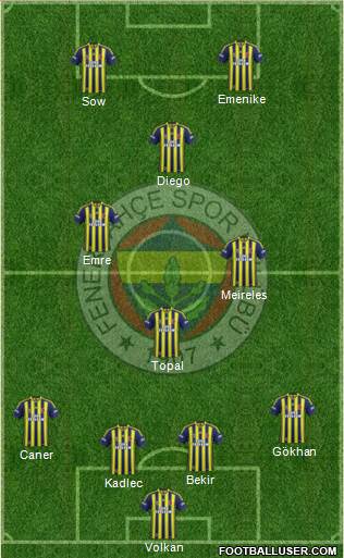 Fenerbahçe SK Formation 2014