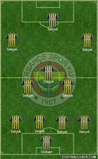 Fenerbahçe SK Formation 2014