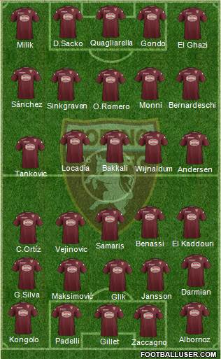 Torino Formation 2014