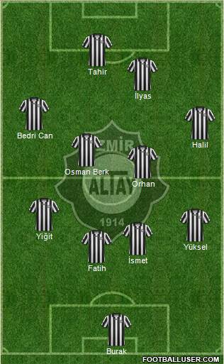 Altay Formation 2014