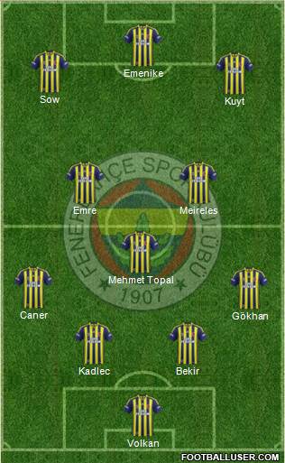Fenerbahçe SK Formation 2014
