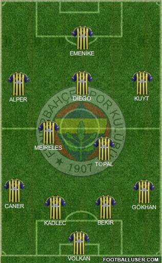 Fenerbahçe SK Formation 2014