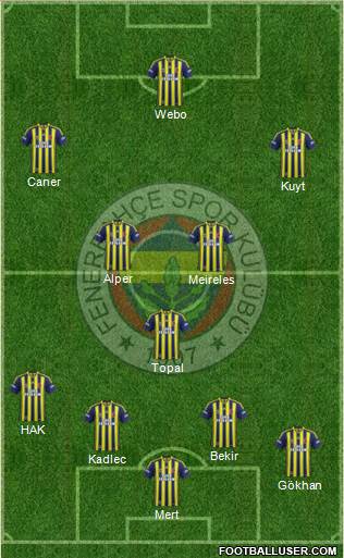 Fenerbahçe SK Formation 2014