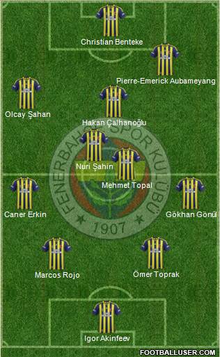 Fenerbahçe SK Formation 2014
