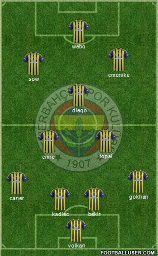 Fenerbahçe SK Formation 2014
