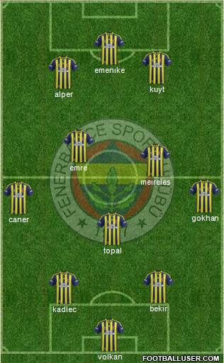 Fenerbahçe SK Formation 2014