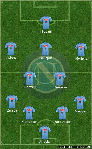 Napoli Formation 2014