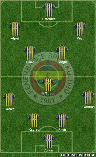 Fenerbahçe SK Formation 2014