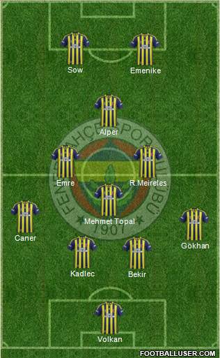 Fenerbahçe SK Formation 2014
