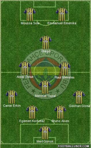 Fenerbahçe SK Formation 2014