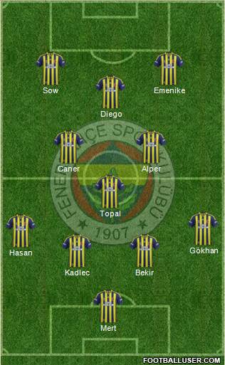 Fenerbahçe SK Formation 2014