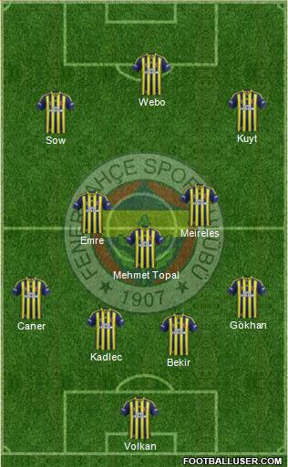 Fenerbahçe SK Formation 2014