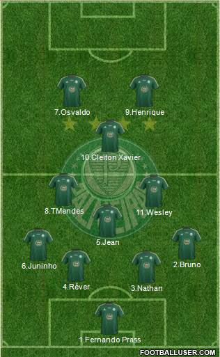 SE Palmeiras Formation 2014