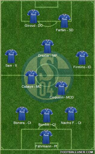 FC Schalke 04 Formation 2014