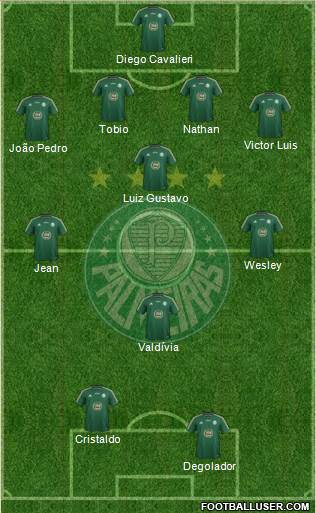 SE Palmeiras Formation 2014