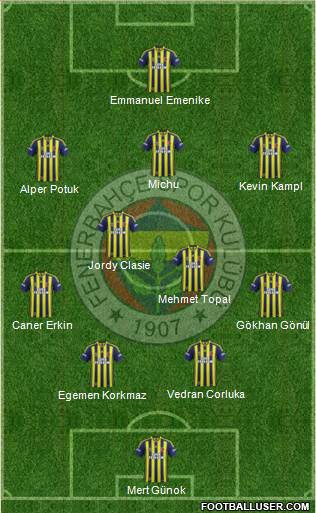 Fenerbahçe SK Formation 2014