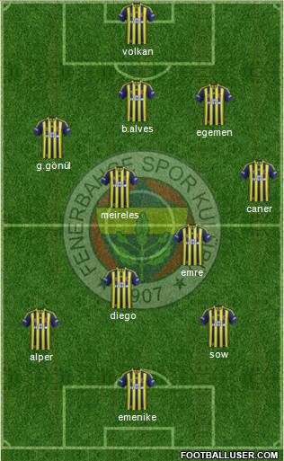 Fenerbahçe SK Formation 2014