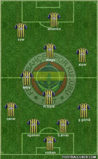 Fenerbahçe SK Formation 2014