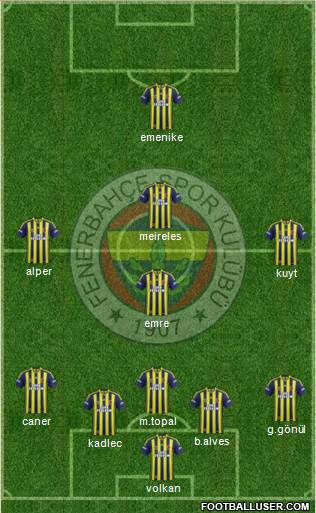 Fenerbahçe SK Formation 2014