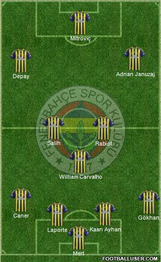 Fenerbahçe SK Formation 2014