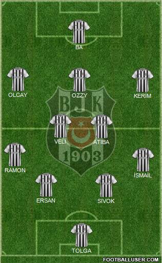 Besiktas JK Formation 2014