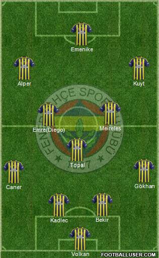 Fenerbahçe SK Formation 2014