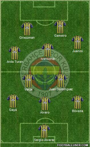 Fenerbahçe SK Formation 2014