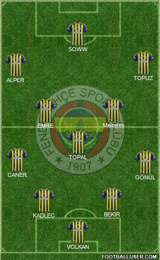 Fenerbahçe SK Formation 2014