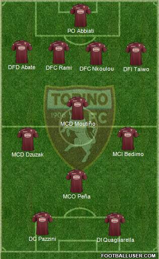 Torino Formation 2014