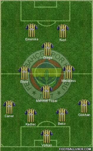 Fenerbahçe SK Formation 2014