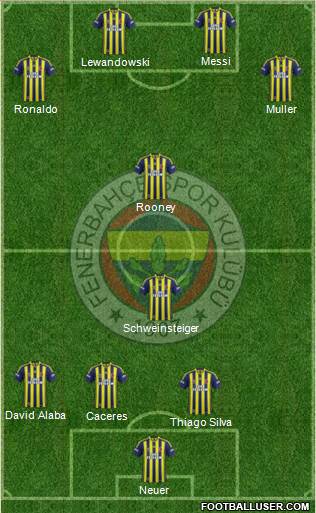 Fenerbahçe SK Formation 2014