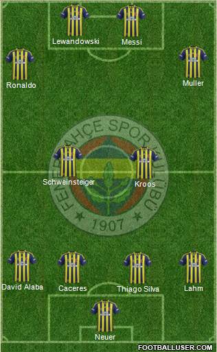 Fenerbahçe SK Formation 2014