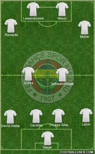 Fenerbahçe SK Formation 2014