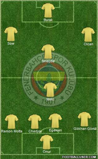 Fenerbahçe SK Formation 2014