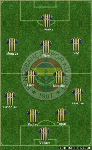 Fenerbahçe SK Formation 2014