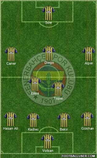 Fenerbahçe SK Formation 2014