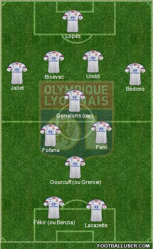 Olympique Lyonnais Formation 2014