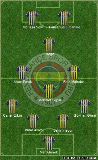 Fenerbahçe SK Formation 2014