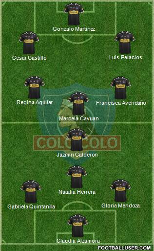 CSD Colo Colo Formation 2014