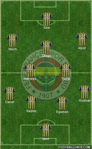Fenerbahçe SK Formation 2014