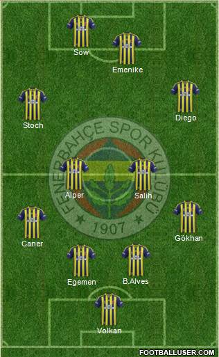 Fenerbahçe SK Formation 2014