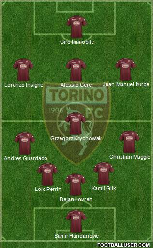 Torino Formation 2014