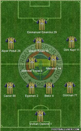 Fenerbahçe SK Formation 2014