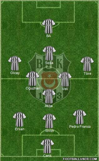 Besiktas JK Formation 2014