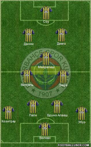 Fenerbahçe SK Formation 2014