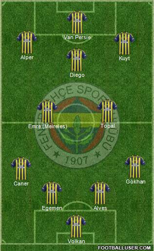Fenerbahçe SK Formation 2014
