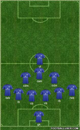 Leicester City Formation 2014