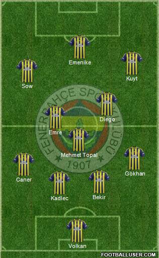 Fenerbahçe SK Formation 2014