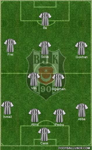 Besiktas JK Formation 2014